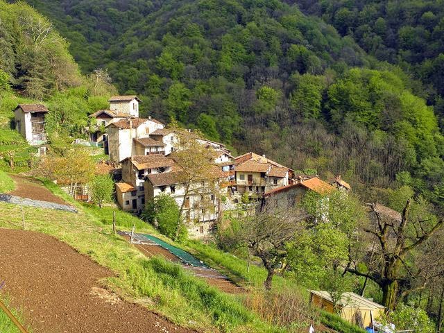 Località Nesolio