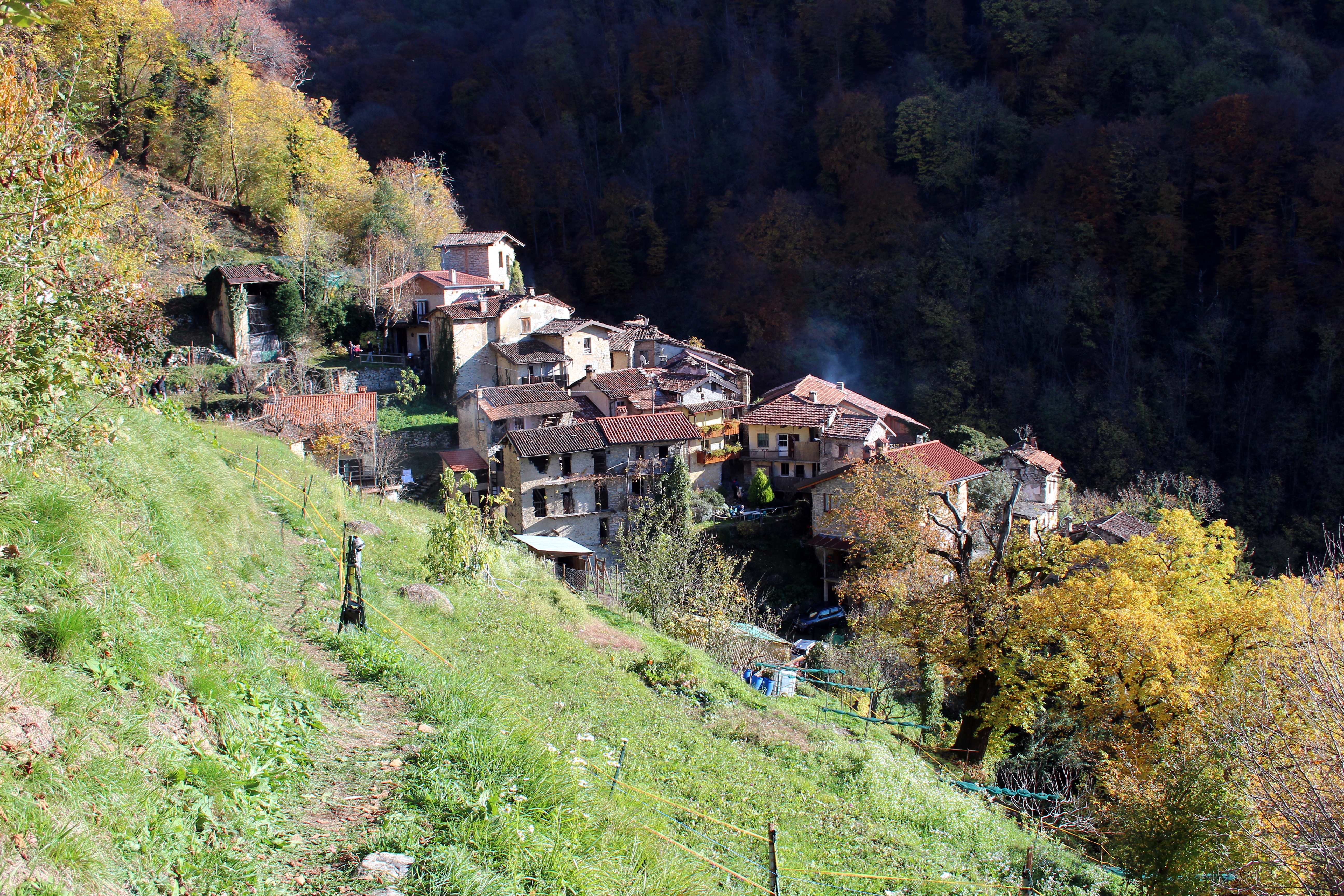 Nesolio in ottobre
