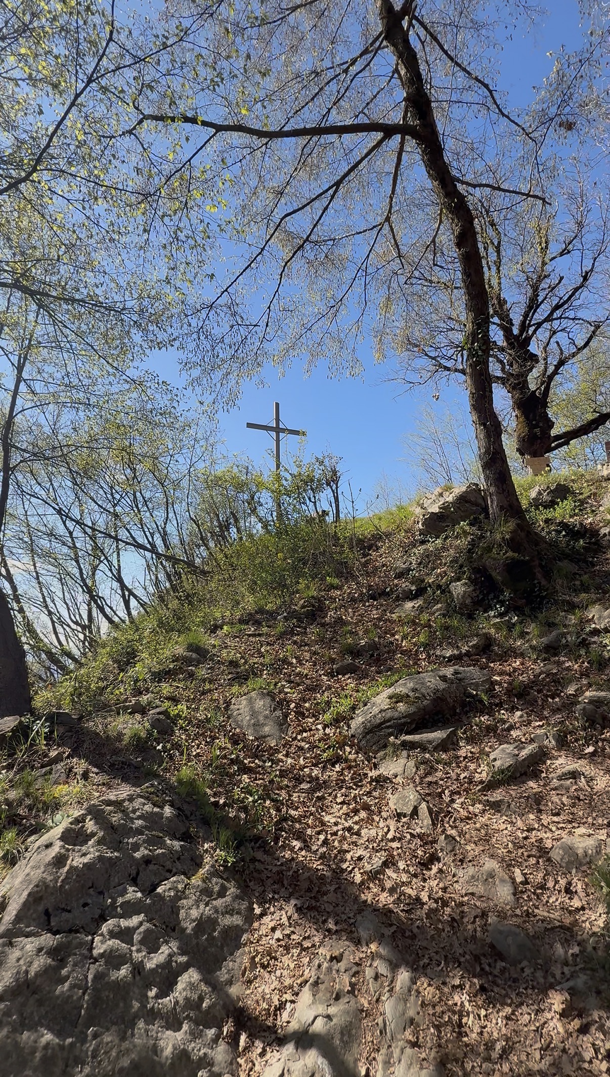 Sentiero di Croce Vicerola